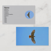 Red-Tailed Hawk Foto Visitekaartje (Voorkant / Achterkant)