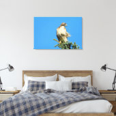 Red Tailed Hawk Free in de Wind Canvas Afdruk (Insitu (Slaapkamer))