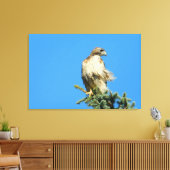 Red Tailed Hawk Free in de Wind Canvas Afdruk (Insitu (Woonkamer))