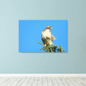 Red Tailed Hawk Free in de Wind Canvas Afdruk (Insitu (Houten vloer))