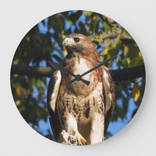 Red Tailed Hawk Grote Klok (Voorkant)