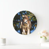 Red Tailed Hawk Grote Klok (Huis)