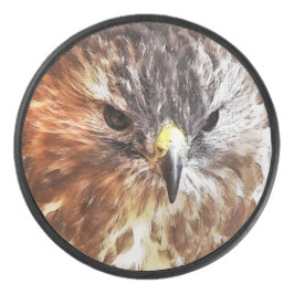 RED TAILED HAWK HOCKEY PUCK