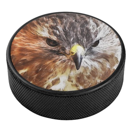 RED TAILED HAWK HOCKEY PUCK (3/4)