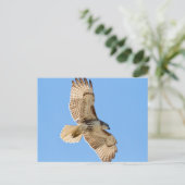 Red Tailed Hawk in vlucht Briefkaart (Staand voorkant)
