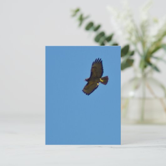 Red Tailed Hawk in vlucht Briefkaart (Staand voorkant)