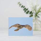 Red Tailed Hawk in vlucht Briefkaart (Staand voorkant)