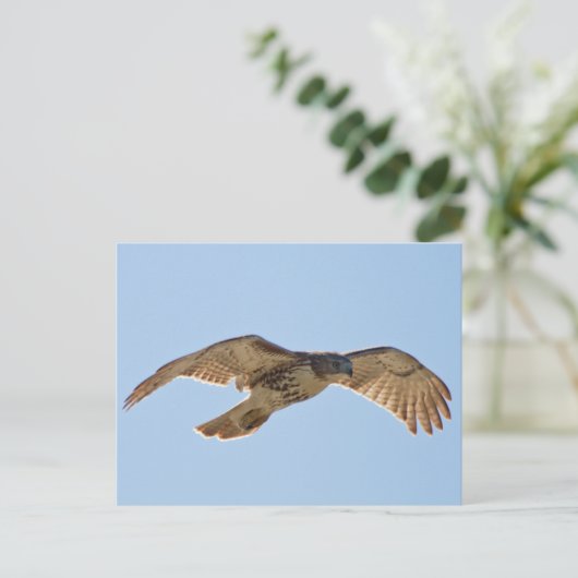 Red Tailed Hawk in vlucht Briefkaart (Staand voorkant)