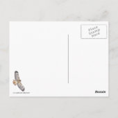 Red Tailed Hawk in vlucht Briefkaart (Achterkant)