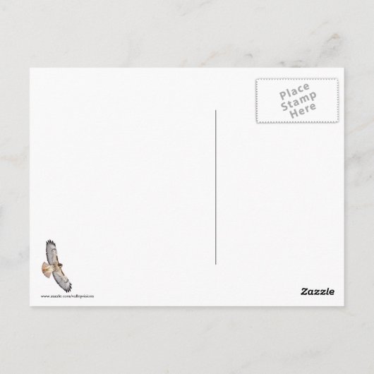 Red Tailed Hawk in vlucht Briefkaart (Achterkant)