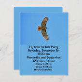 Red-Tailed Hawk in vlucht Kaart (Voorkant / Achterkant)