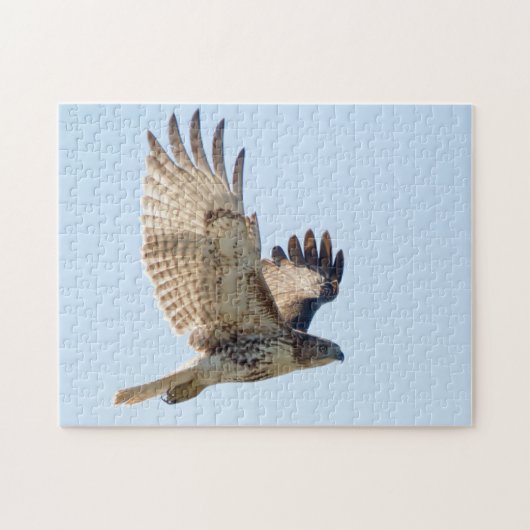 Red Tailed Hawk in vlucht Legpuzzel (Horizontaal)