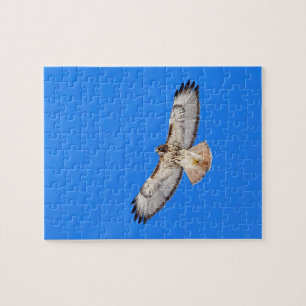 Red Tailed Hawk in vlucht Legpuzzel