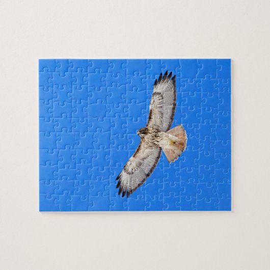 Red Tailed Hawk in vlucht Legpuzzel (Horizontaal)