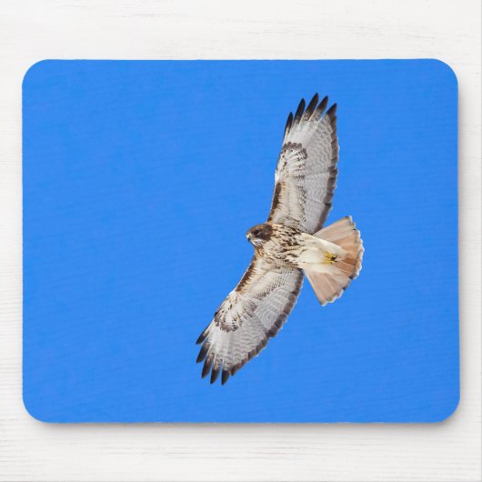 Red Tailed Hawk in vlucht Muismat (Voorkant)