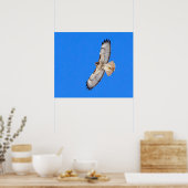 Red Tailed Hawk in vlucht Poster (Keuken)