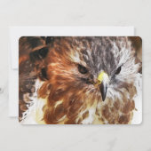 RED TAILED HAWK Invitation (Voorkant)