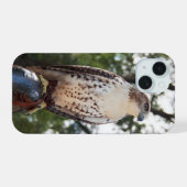 Red-Tailed Hawk iPhone 15 Case (Achterkant horizontaal)