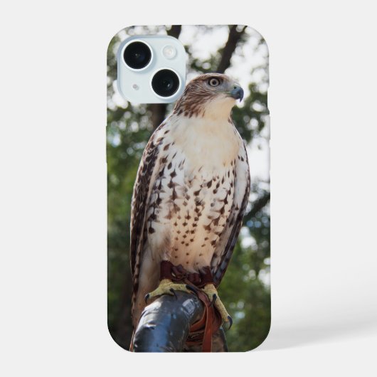 Red-Tailed Hawk iPhone 15 Case (Achterkant)