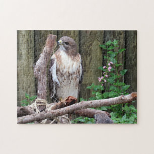 Red Tailed Hawk - Jigzaag Puzzle Legpuzzel