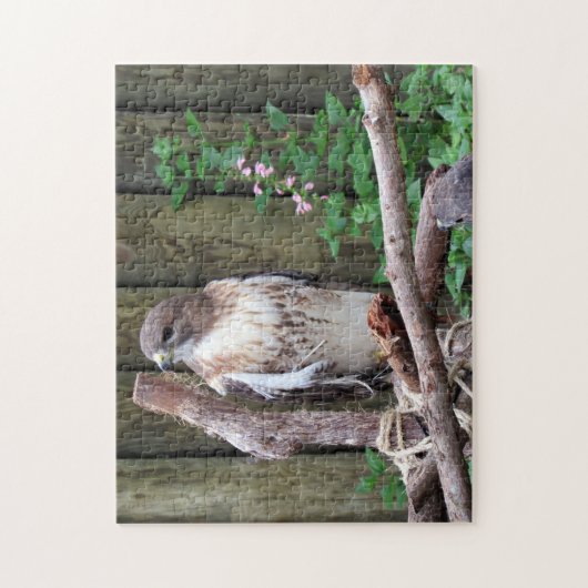 Red Tailed Hawk - Jigzaag Puzzle Legpuzzel (Verticaal)