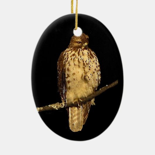 Red Tailed Hawk Keramisch Ornament (Achterkant)