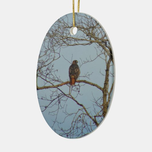 Red Tailed Hawk Keramisch Ornament (Links)