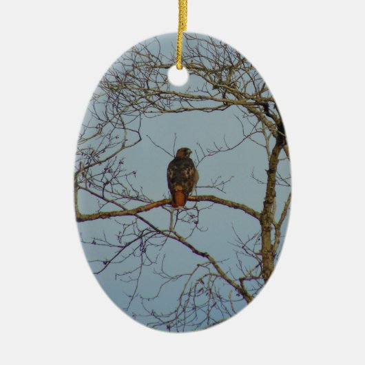 Red Tailed Hawk Keramisch Ornament (Voorkant)