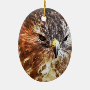 RED TAILED HAWK KERAMISCH ORNAMENT