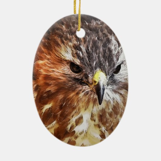 RED TAILED HAWK KERAMISCH ORNAMENT (Achterkant)