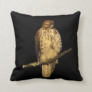 Red Tailed Hawk Kussen