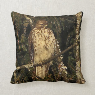 Red Tailed Hawk Kussen
