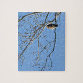 Red Tailed Hawk Legpuzzel (Verticaal)