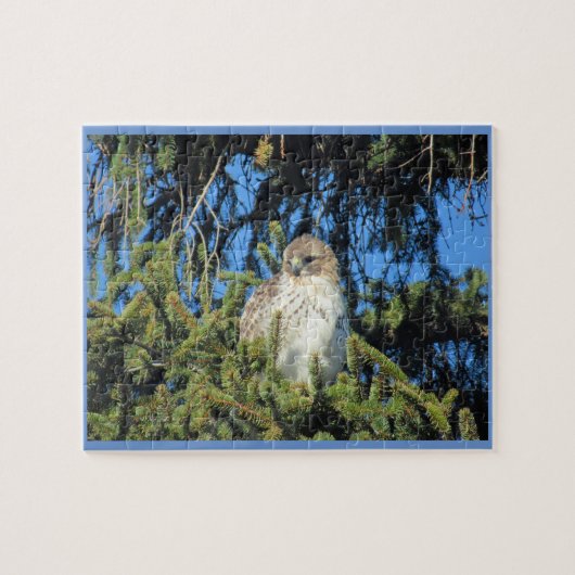 Red Tailed Hawk Legpuzzel (Horizontaal)
