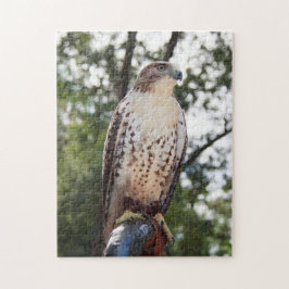 Red-Tailed Hawk Legpuzzel