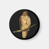 Red Tailed Hawk Magneet (Voorkant)