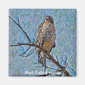Red Tailed Hawk Magneet (Voorkant)
