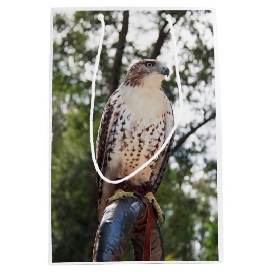 Red-Tailed Hawk Medium Cadeauzakje (Voorkant)