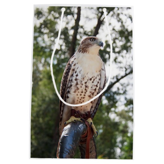 Red-Tailed Hawk Medium Cadeauzakje (Achterkant)