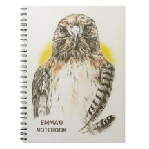 Red Tailed Hawk met Veerkunst