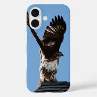 Red-Tailed Hawk met vleugels Opgeheven Wildlife Fo