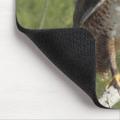 Red Tailed Hawk Mousepad Muismat (Hoek)
