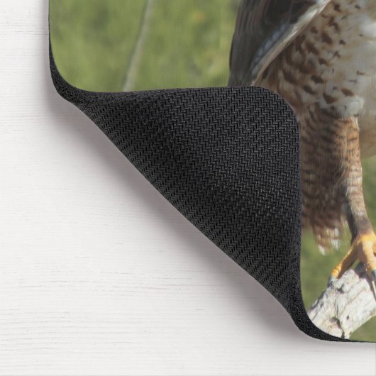 Red Tailed Hawk Mousepad Muismat (Hoek)