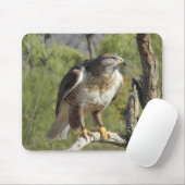 Red Tailed Hawk Mousepad Muismat (Met muis)