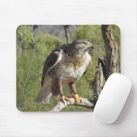 Red Tailed Hawk Mousepad Muismat (Met muis)