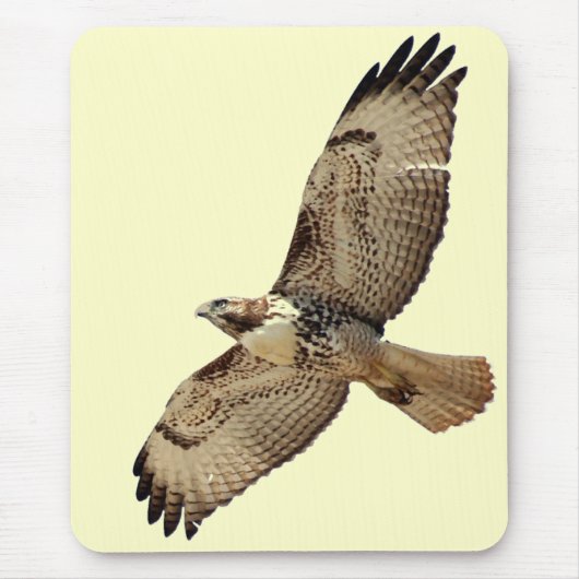 Red Tailed Hawk Mousepad Muismat (Voorkant)