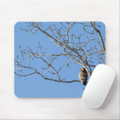 Red Tailed Hawk Muismat (Met muis)