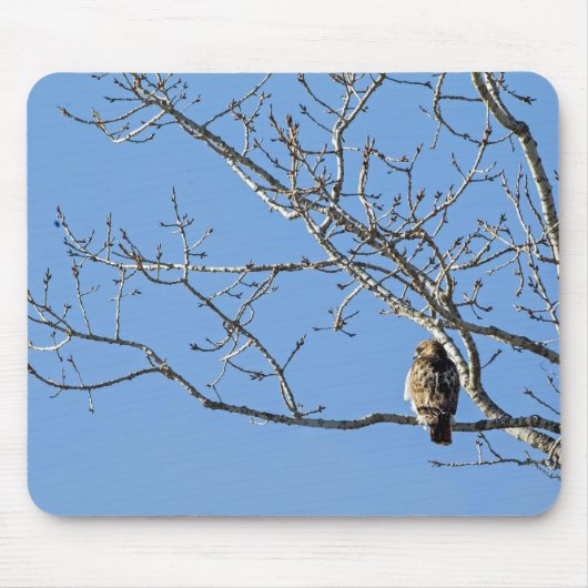 Red Tailed Hawk Muismat (Voorkant)