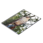 Red-Tailed Hawk Notitieboek (Linkerzijde)