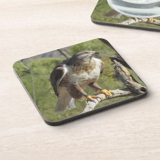 Red Tailed Hawk Onderzetters (Linkerzijde)